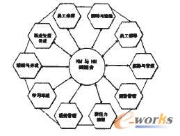 图1 KM与HR相结合的实践活动