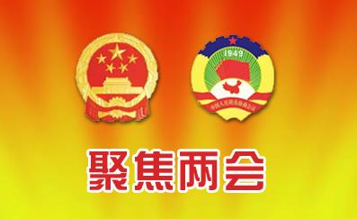吕随启：两会政策取向、疫情影响差异性与投资机会