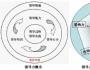 “宽容领导力”是老板影响力的基因
