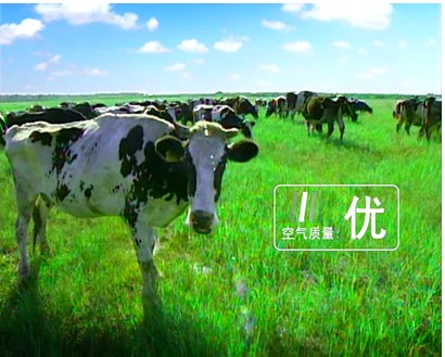 太子乐奶粉
