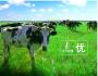 太子乐奶粉，伴随宝宝健康快乐成长