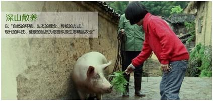 聚划算上的得与失