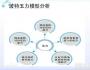 “五力”分析和价值链管理