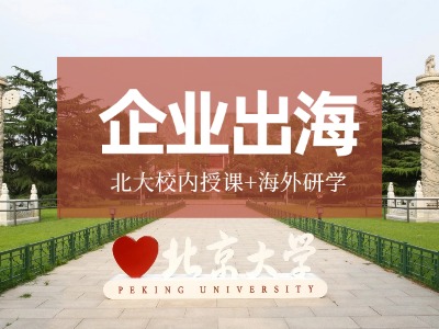 北京大学企业经营与出海能力提升研修班